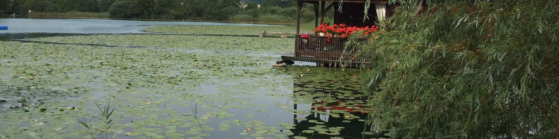 Lake Hallwyl