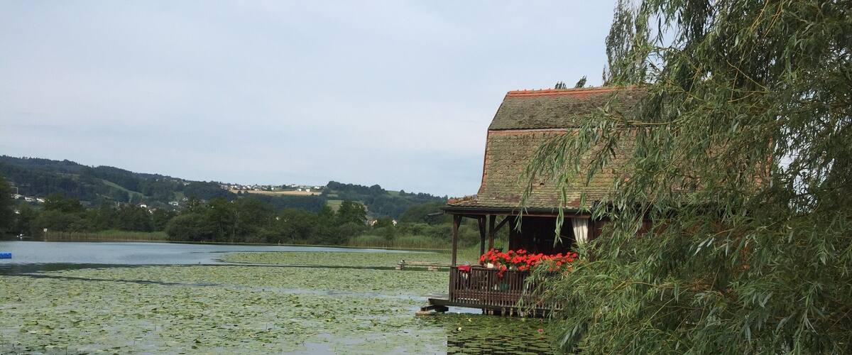A house with a thatched roof by a lake with lily pads and red flowers.