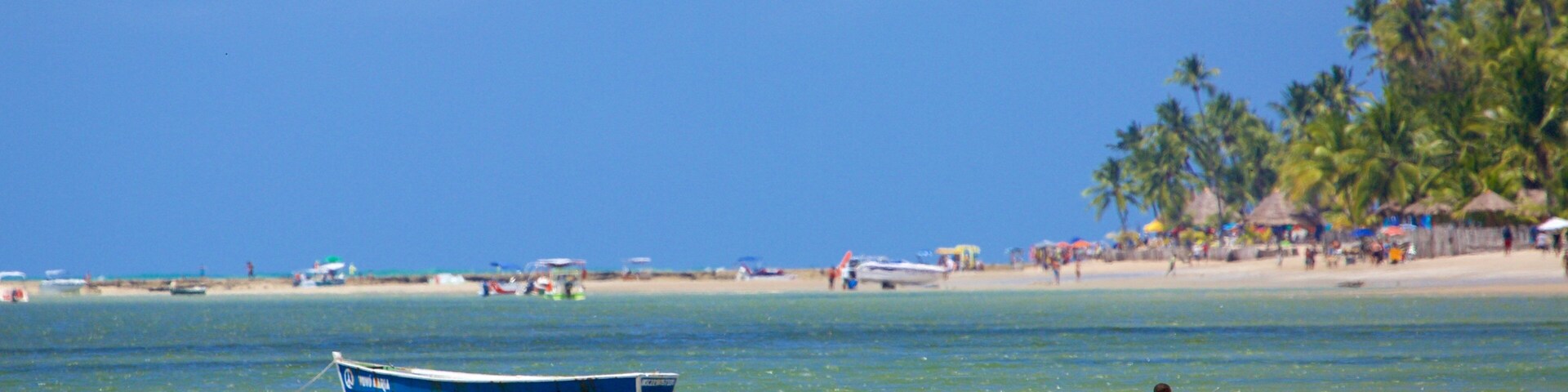 Uma praia com barco, palmeiras e pessoas.