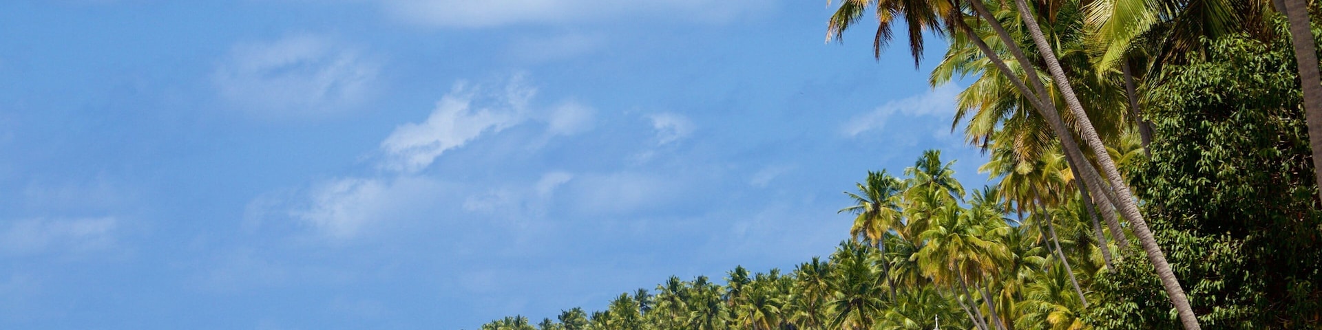 Tamandare mostrando vista general a la costa, una playa y escenas tropicales