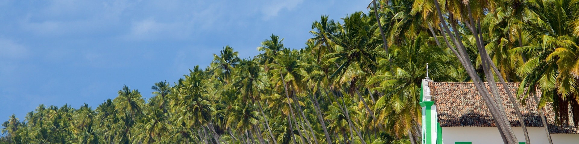 Tamandare mostrando una iglesia o catedral, vista general a la costa y escenas tropicales