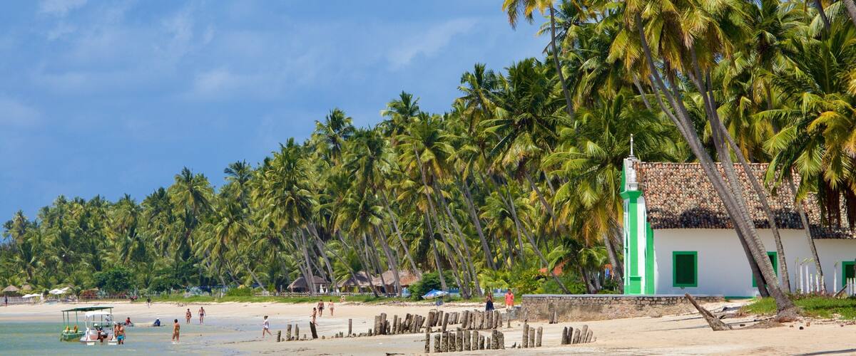 A beach with palm trees, a white building with green trim, and people on the sand.