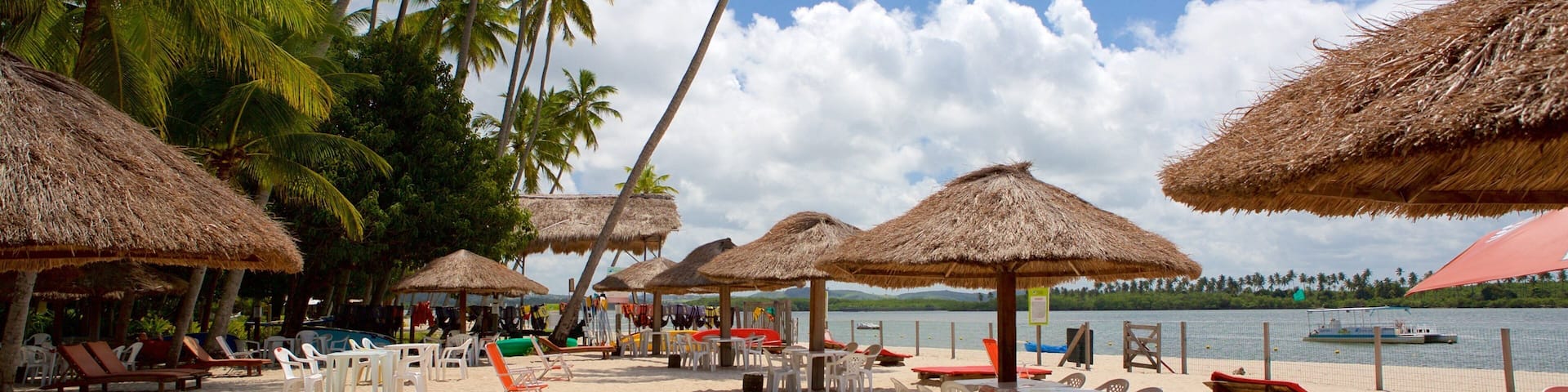 A beach with thatched umbrellas, lounge chairs, and palm trees.