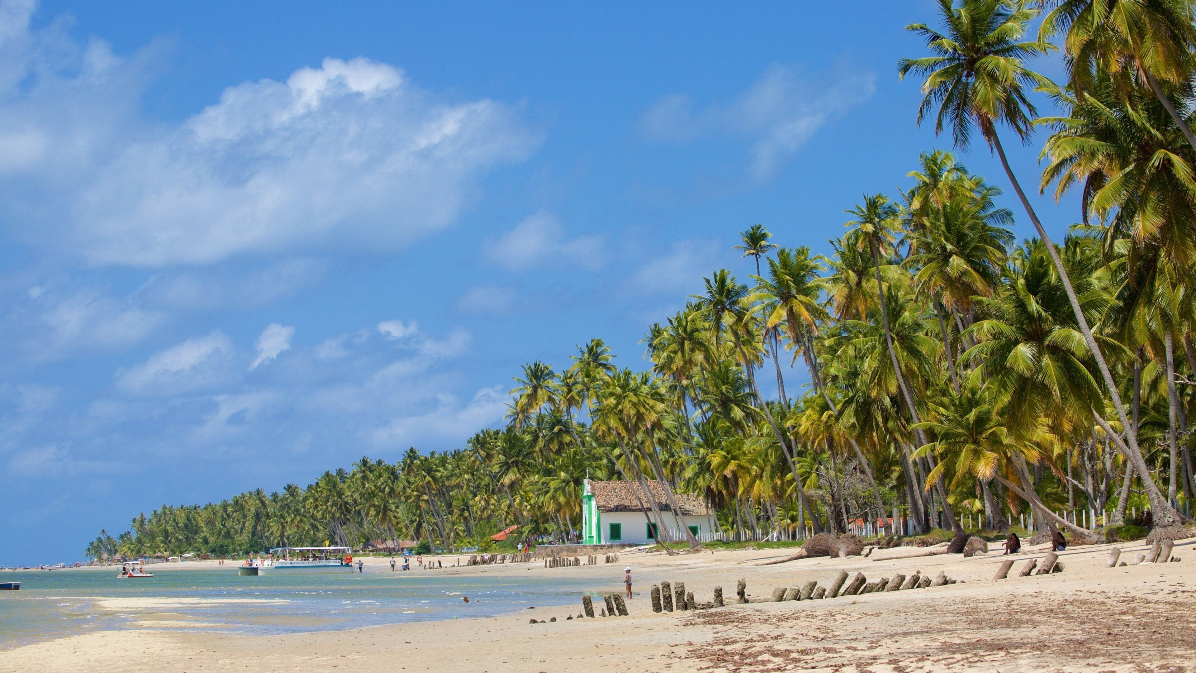 Tamandare featuring general coastal views, tropical scenes and a sandy beach