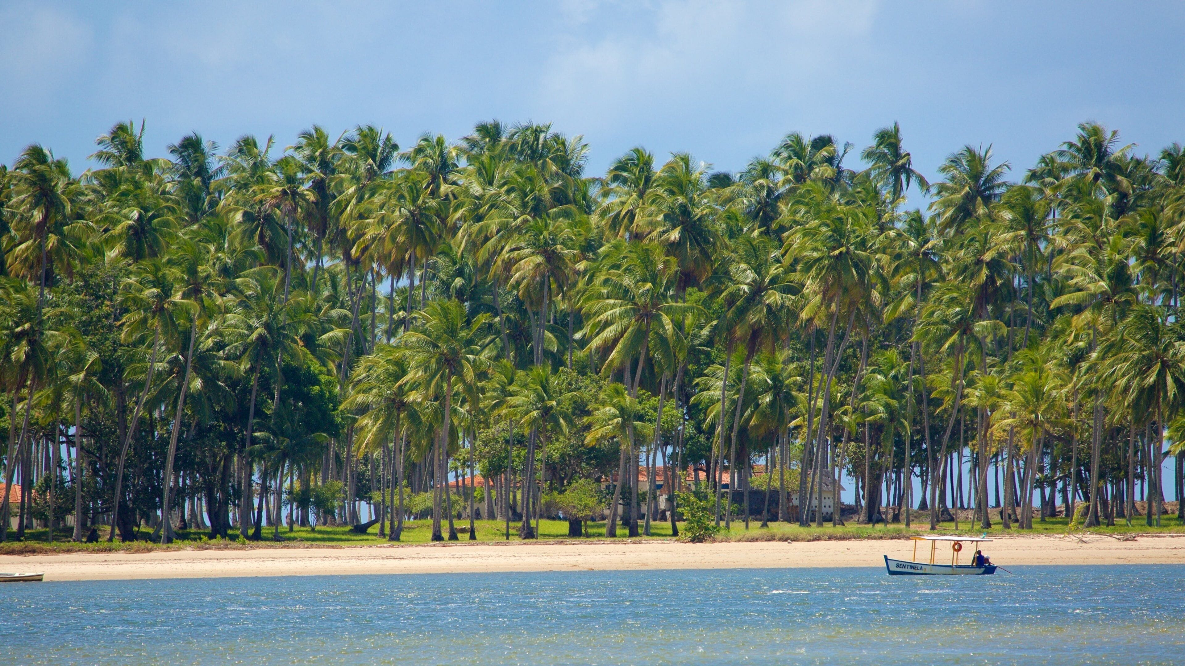 Praia dos Carneiros which includes general coastal views, a beach and tropical scenes