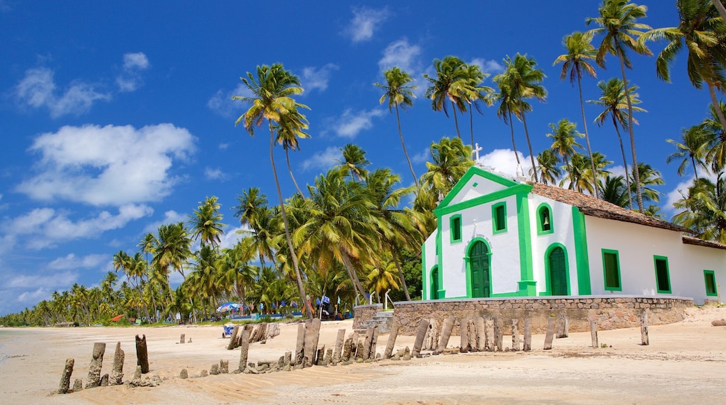 Tamandare showing general coastal views, tropical scenes and a church or cathedral