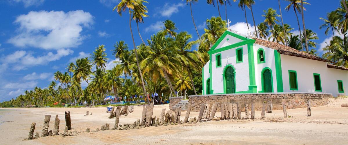 Tamandaré caracterizando cenas tropicais, paisagens litorâneas e uma praia de areia