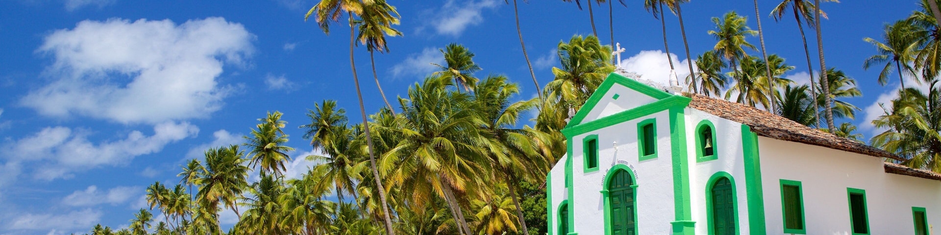 Tamandare showing general coastal views, tropical scenes and a church or cathedral