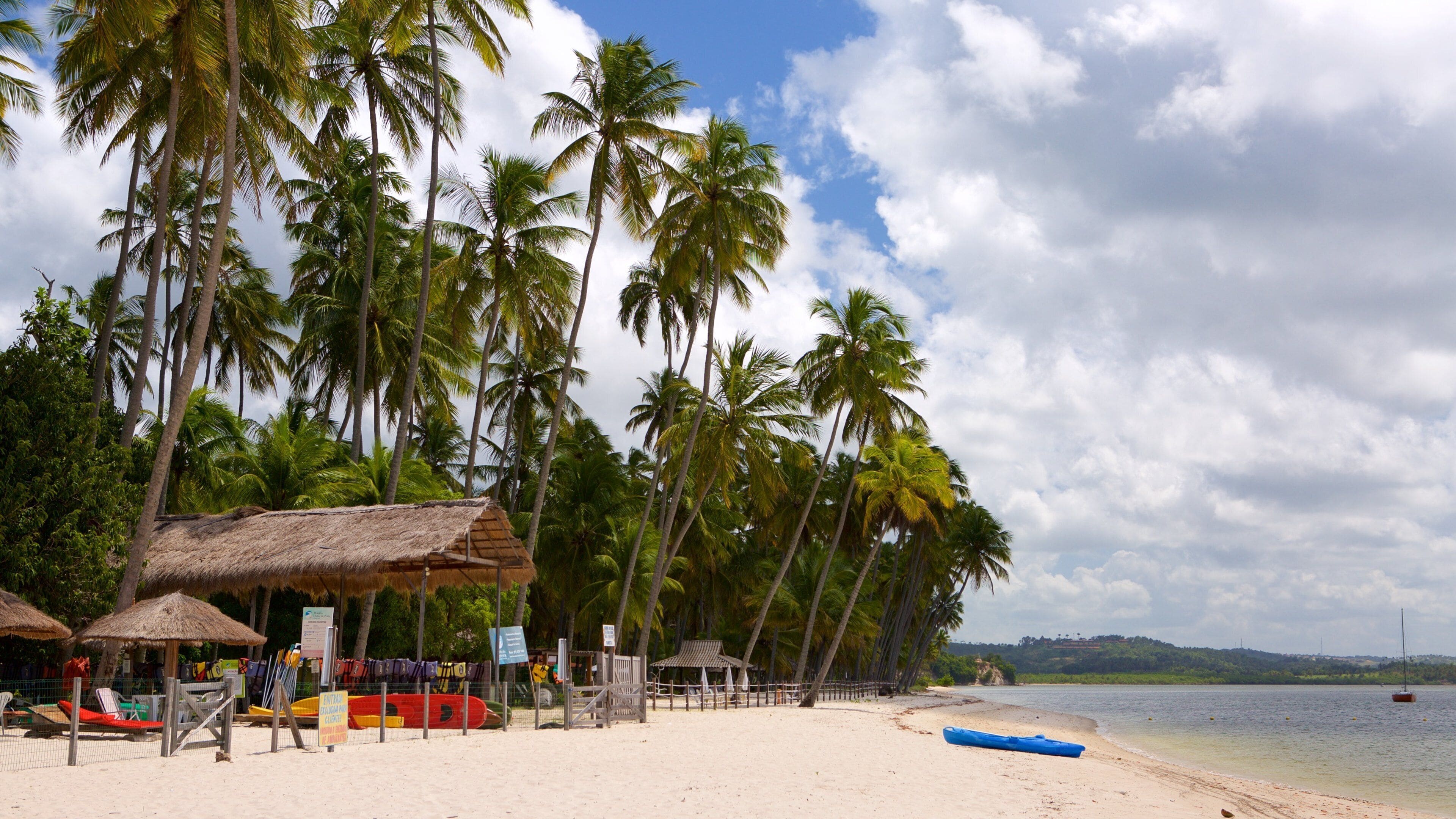 Tamandare featuring kayaking or canoeing, a beach and tropical scenes