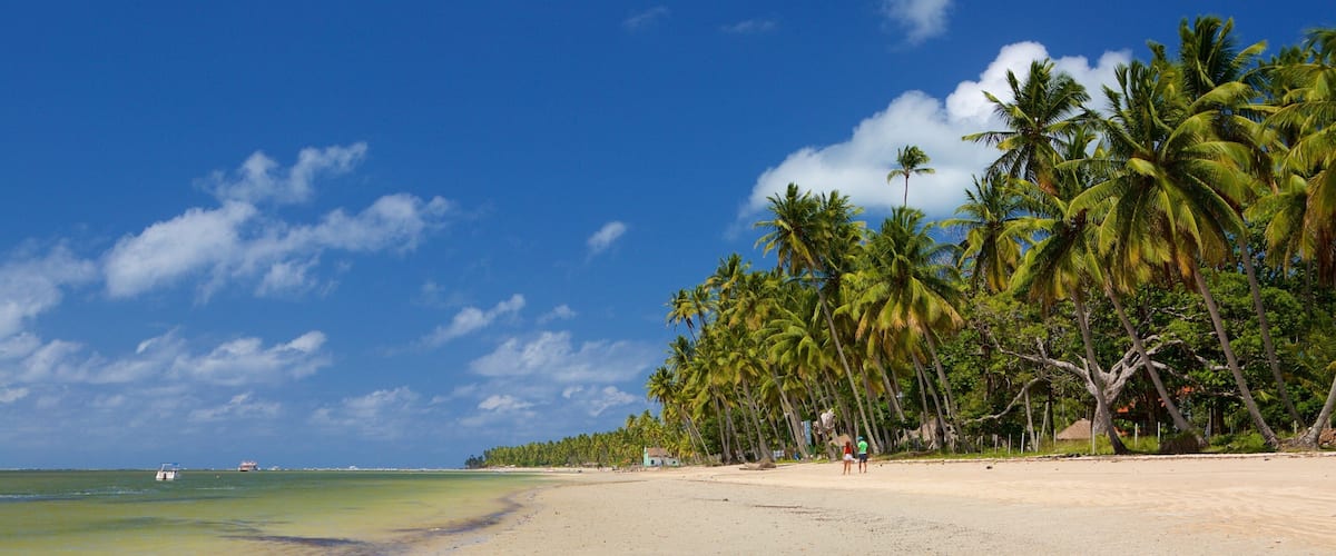 Tamandare which includes tropical scenes, a beach and general coastal views