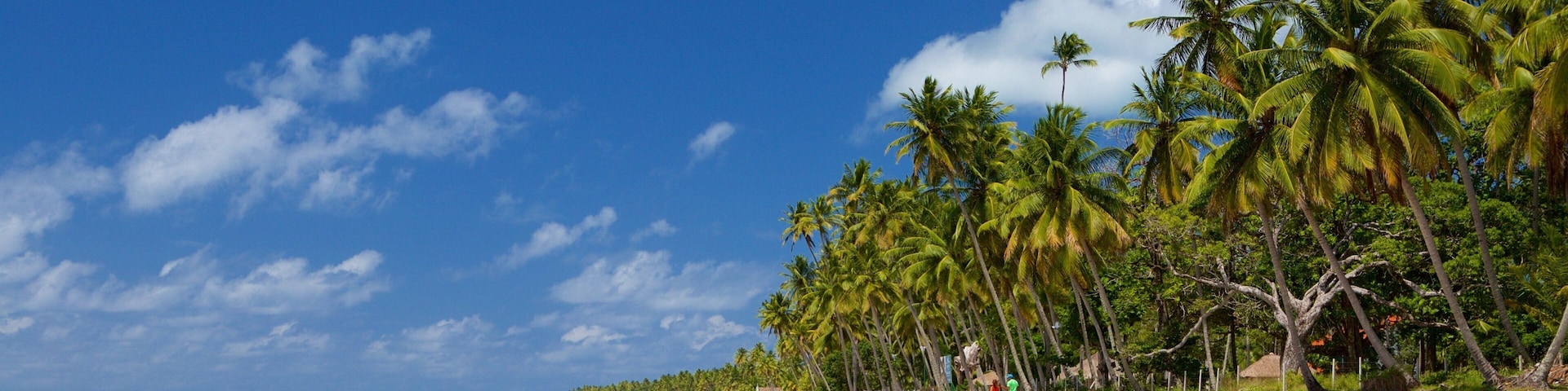 Tamandare which includes general coastal views, tropical scenes and a beach
