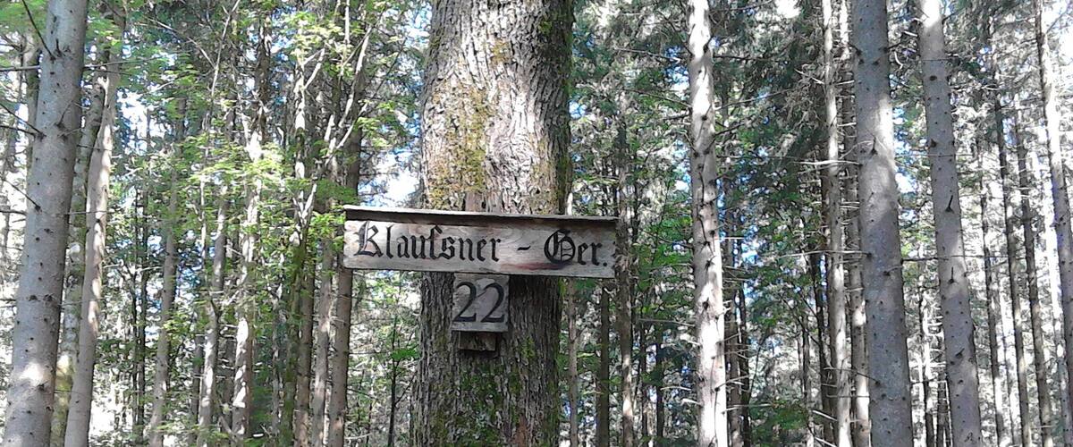 A forest with a sign reading "Klausner - Her 22".