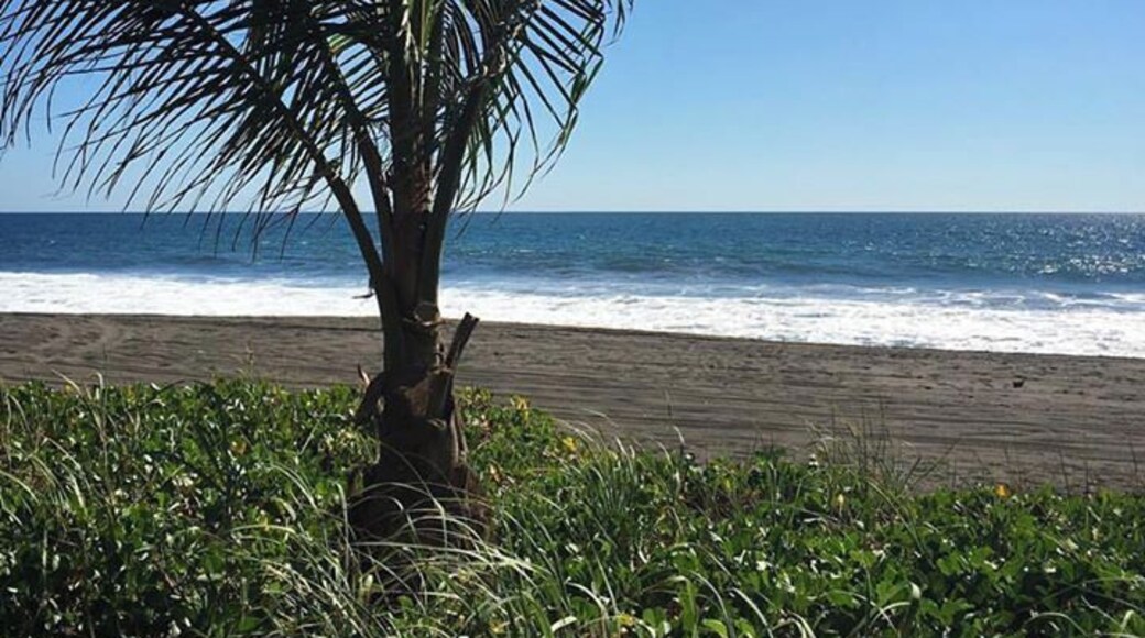 🌊#blacksandland ☀️
#guatemala#pacific