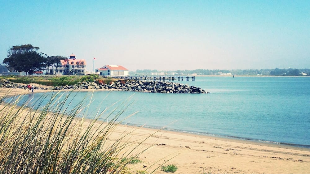 A beach with a pier extending into calm waters, surrounded by grassy dunes and a large tree.