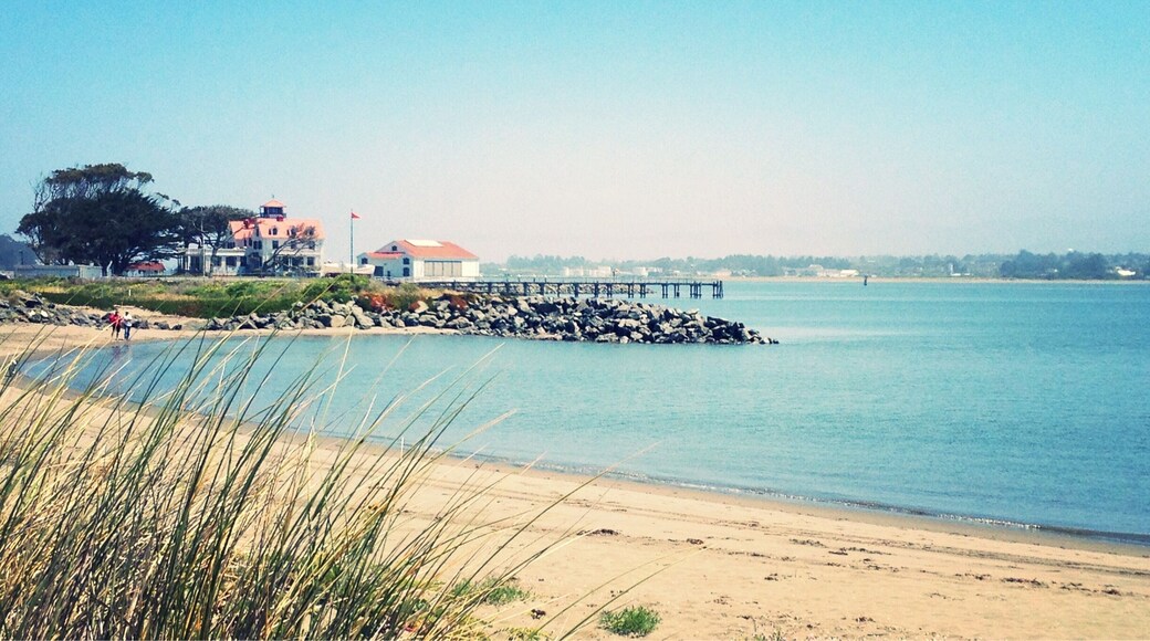 This beach faces Humboldt Bay and is just south of the US Coast Guard Station. There is a small gravel parking area on the Northern end of the beach.