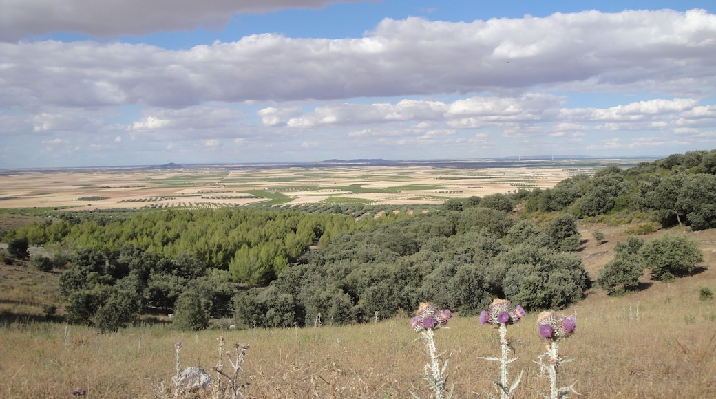 Desde la Sierra del Manzano, hacia Lillo. Desde la aljibe del Manzano