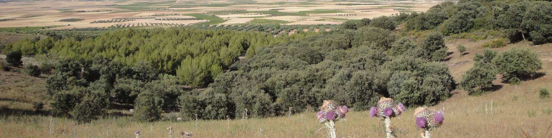 Desde la Sierra del Manzano, hacia Lillo. Desde la aljibe del Manzano