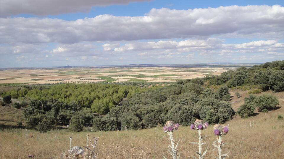 A landscape with rolling hills, dense forests, and open fields.
