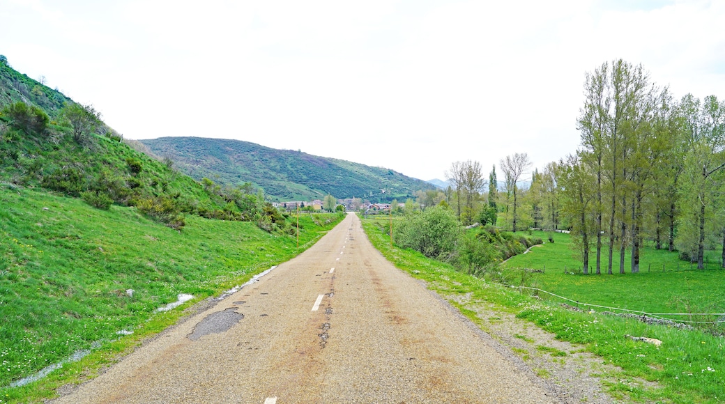 Cofiñal, Puebla de Lillo, Comunidad Autónoma de Castilla y León, España