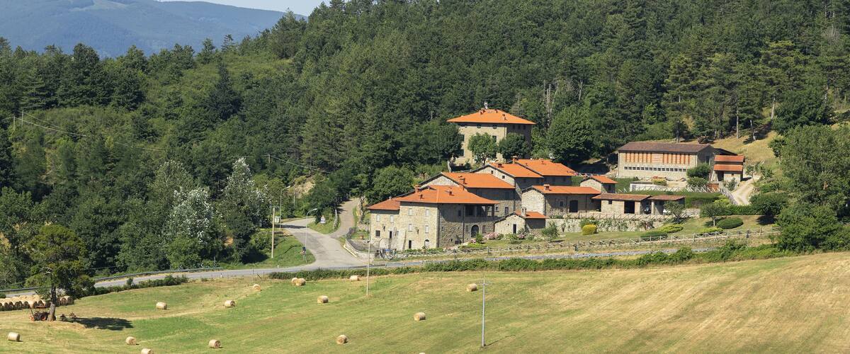Summer landscape at Passo della Consuma, Tuscany