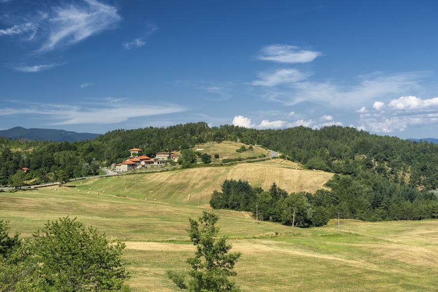 Summer landscape at Passo della Consuma, Tuscany