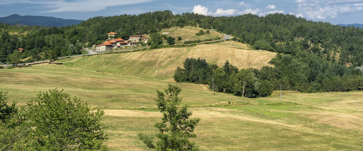 A rural landscape with rolling hills, a small house with a red roof, and a clear blue sky.
