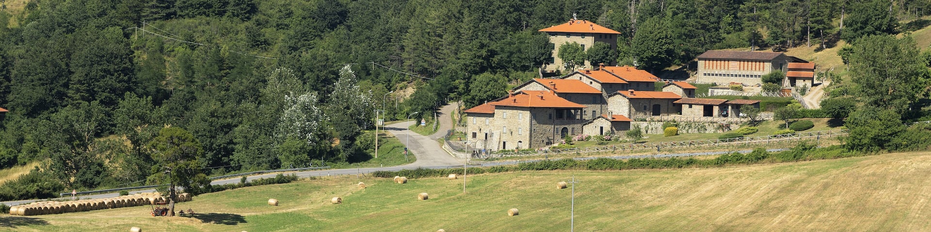 Summer landscape at Passo della Consuma, Tuscany