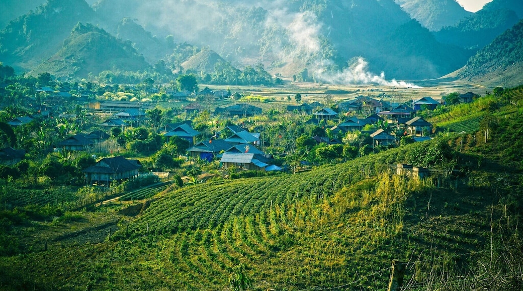 Doi Village, Moc Chau, Son La, Vietnam #localgem