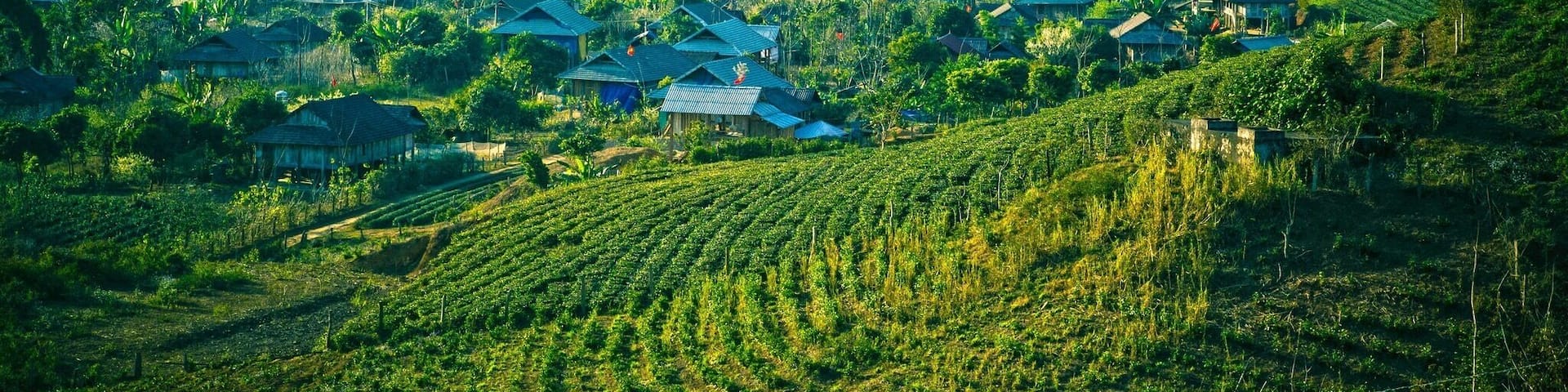 Doi Village, Moc Chau, Son La, Vietnam #localgem
