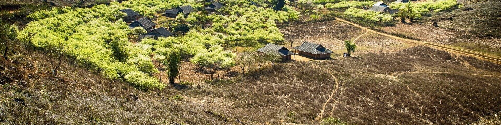 Ba Phach Village, Moc Chau, Son La, Vietnam #localgem