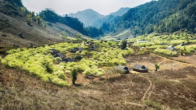 Ba Phach Village, Moc Chau, Son La, Vietnam #localgem