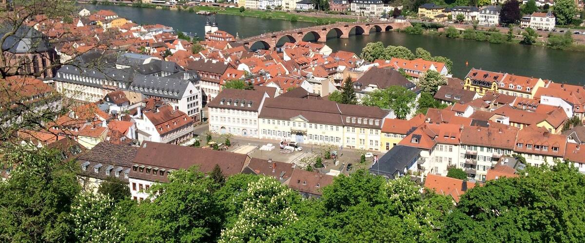 A town with red-roofed buildings, a river, and a bridge.