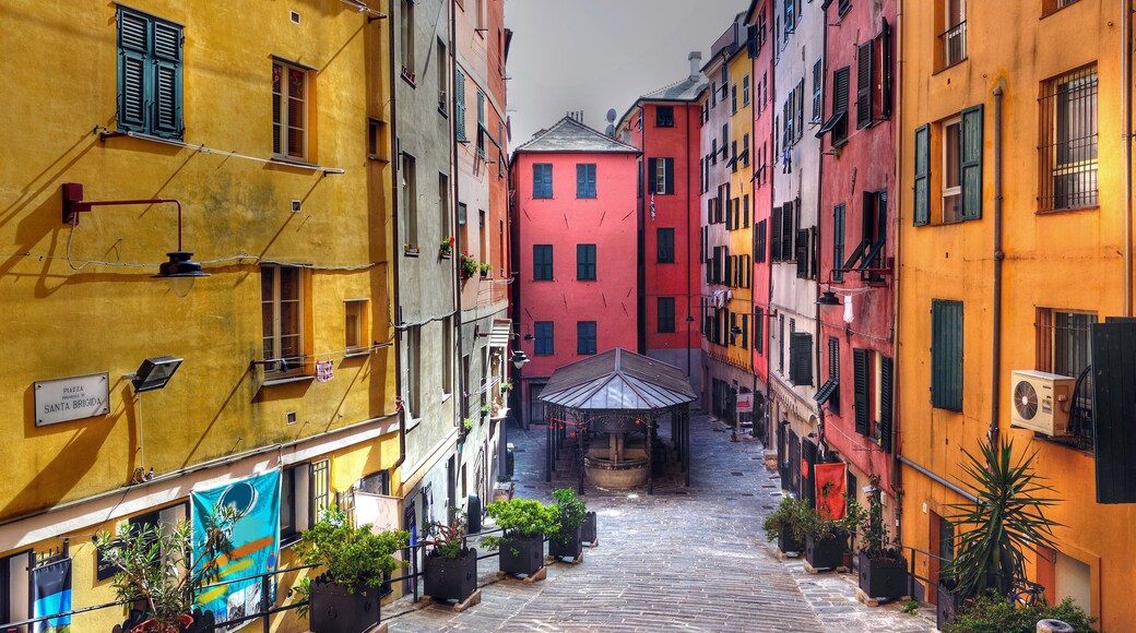 سانتا بريجيدا