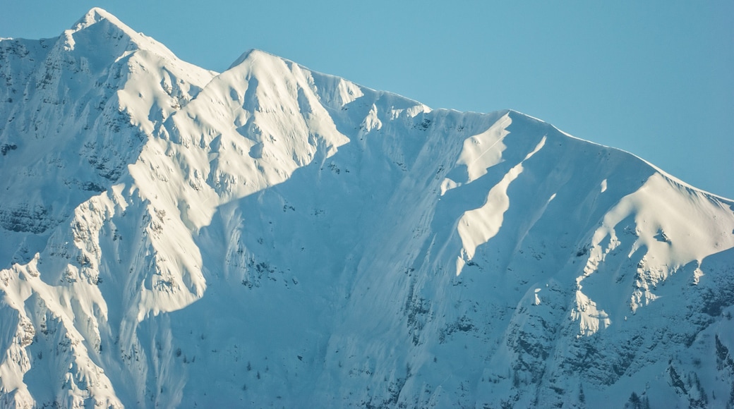 سانتا بريجيدا