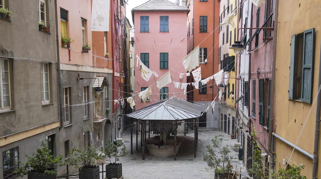 سانتا بريجيدا