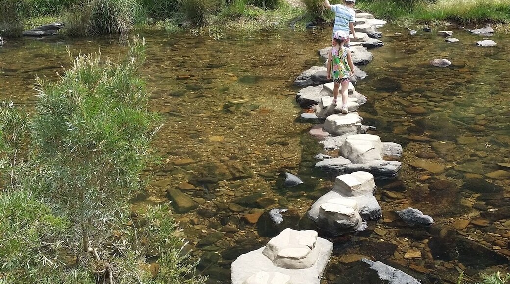 Stepping stones cross the Lerderderg River near this MacKenzie Flat picnic ground in Lederderg State Park. This is an easily accessible site which is popular with locals but little known beyond the Bacchus Marsh town boundary.