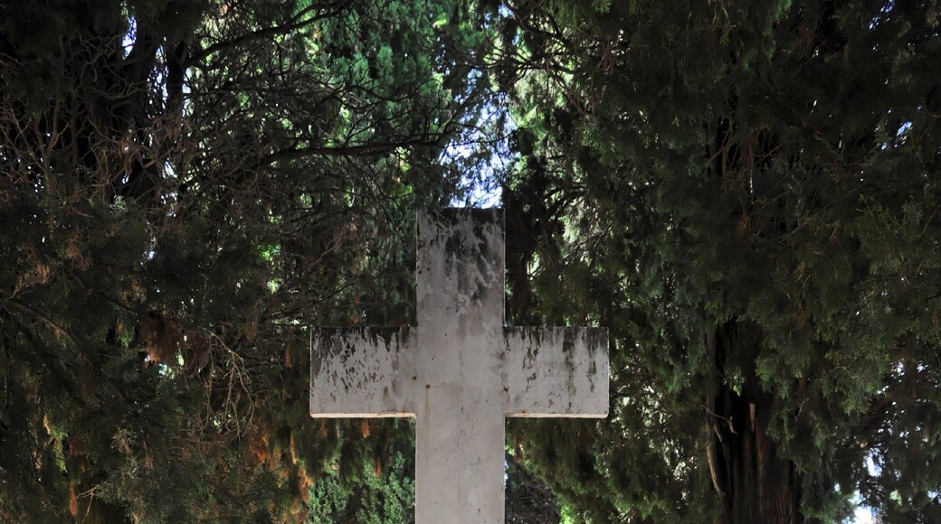 Santa Maria del Lago (Moscufo) 2013