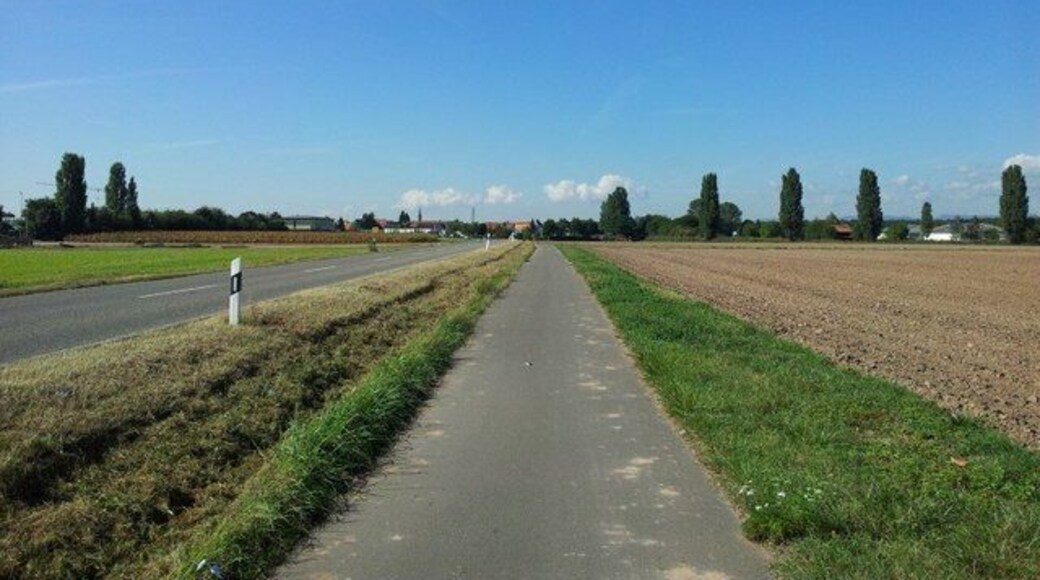 L 537 bei Harthausen