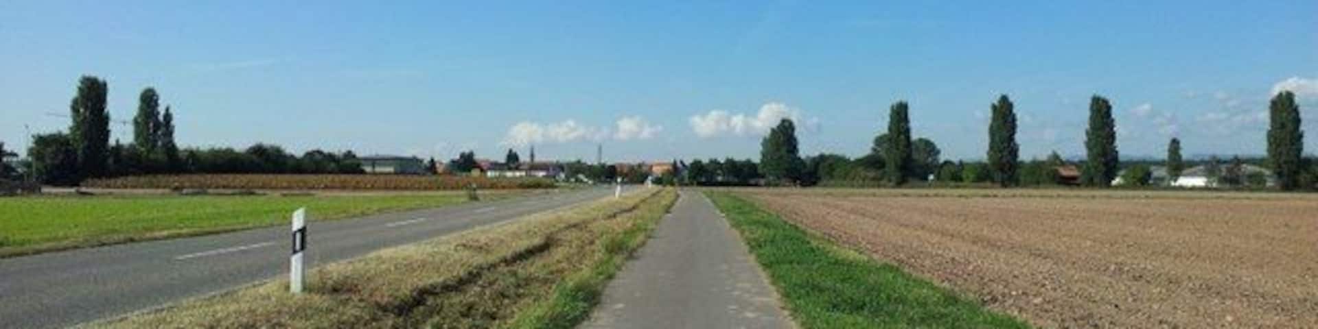 L 537 bei Harthausen