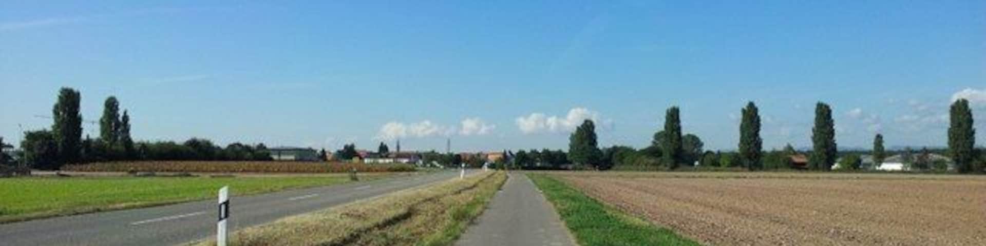 L 537 bei Harthausen