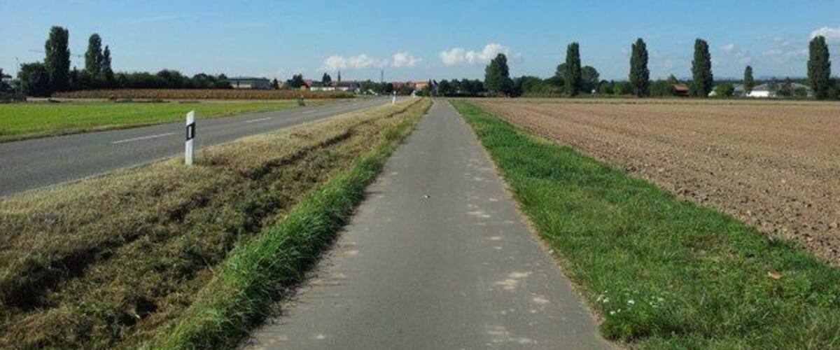 A rural road with a sidewalk, fields, and trees.