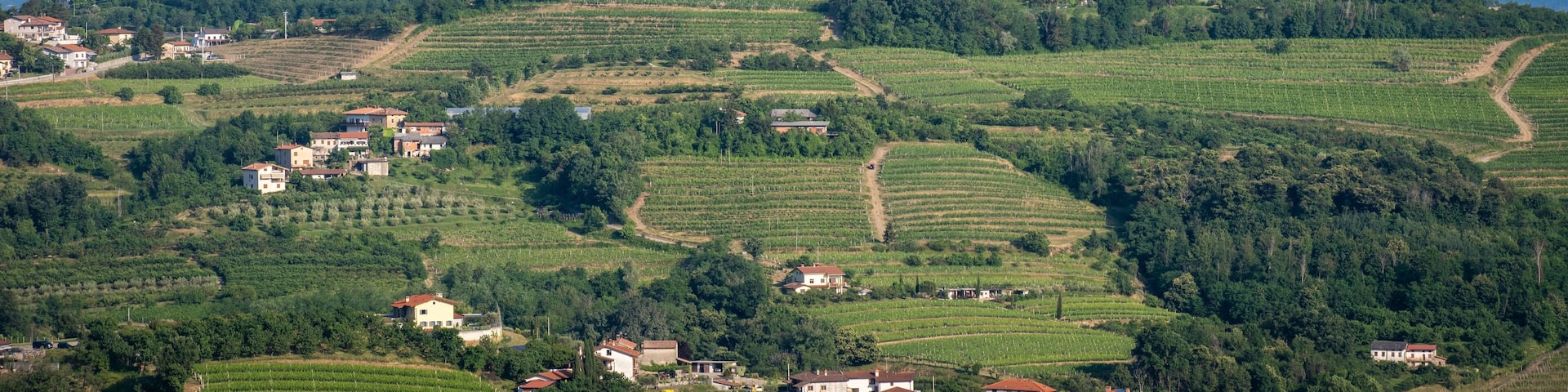 Panoramic view of Števerjan (San Floriano del Collio), Italy