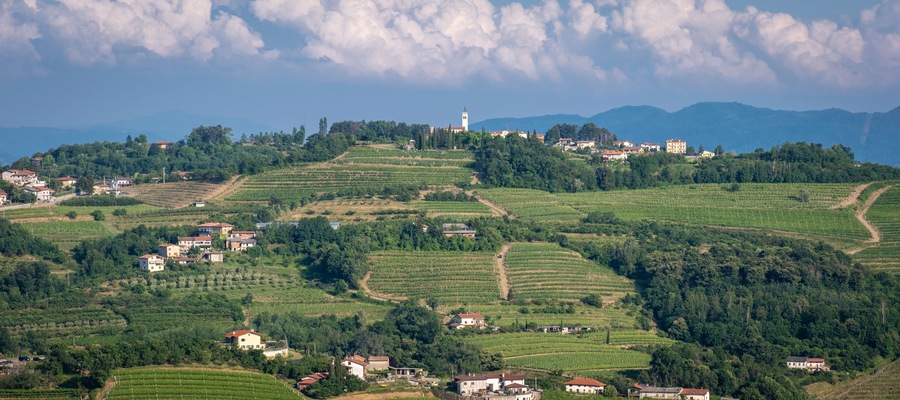 Panoramic view of Števerjan (San Floriano del Collio), Italy