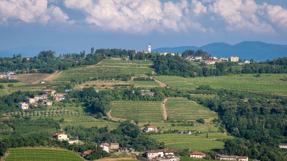 Terraced vineyards, a prominent church tower, and rolling hills with scattered houses.