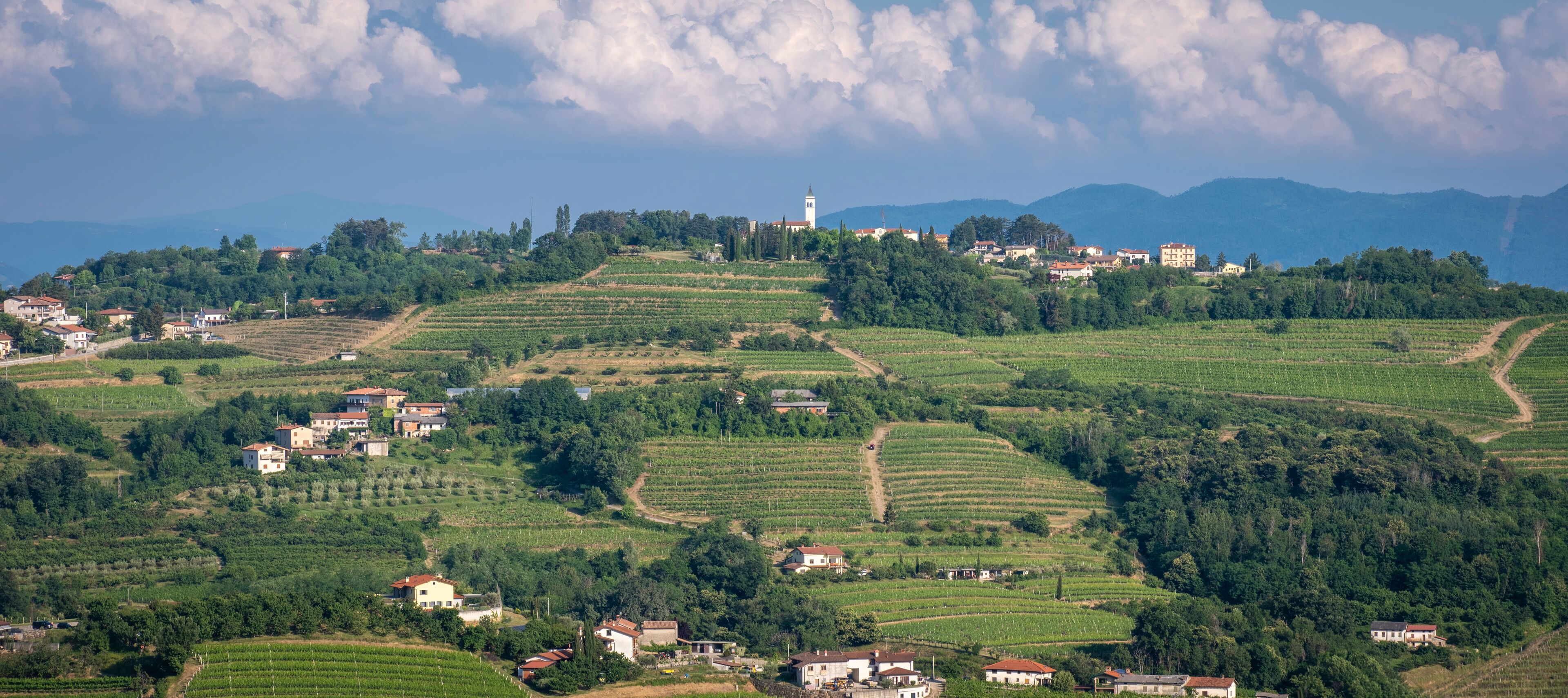 Terraced vineyards, a prominent church tower, and rolling hills with scattered houses.