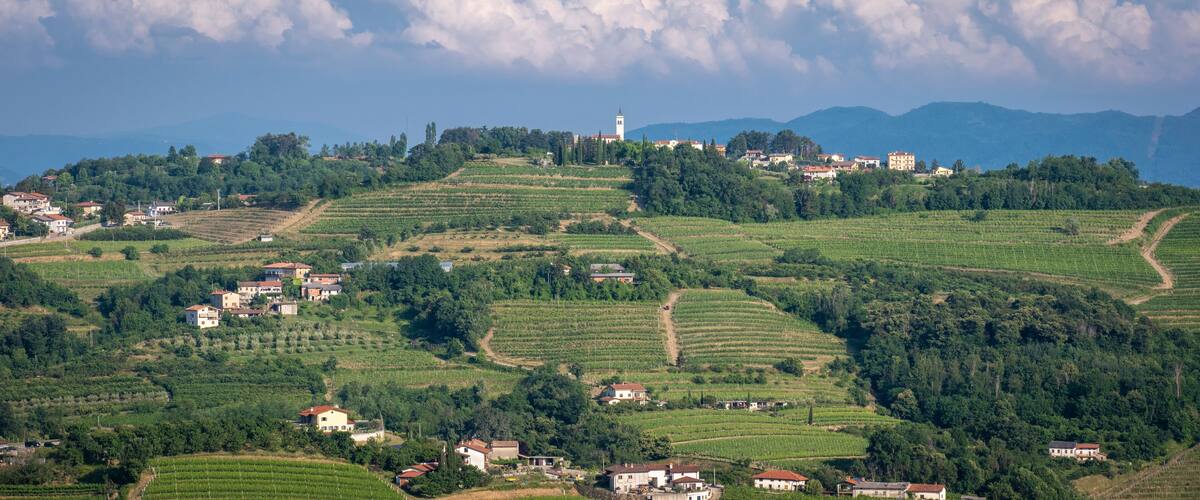 Terraced vineyards, a prominent church tower, and rolling hills with scattered houses.