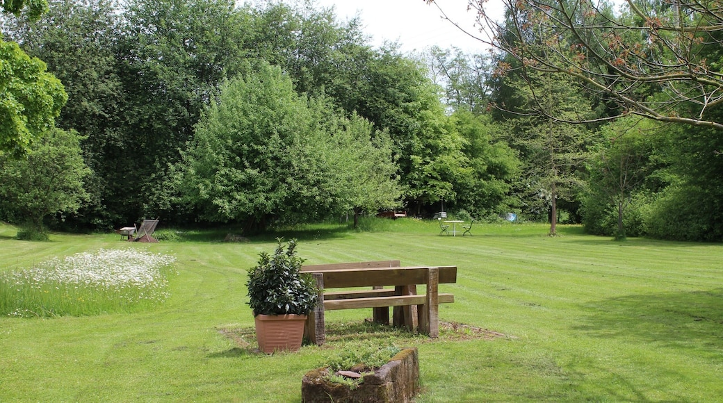 Berschweiler (Heusweiler), oil mill, the garden