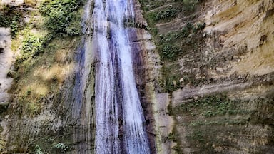 Dau Waterfalls in Samboan town, south of Cebu city.
My favorite waterfalls in the province of Cebu.
#cebu #philippines #chasingwaterfalls