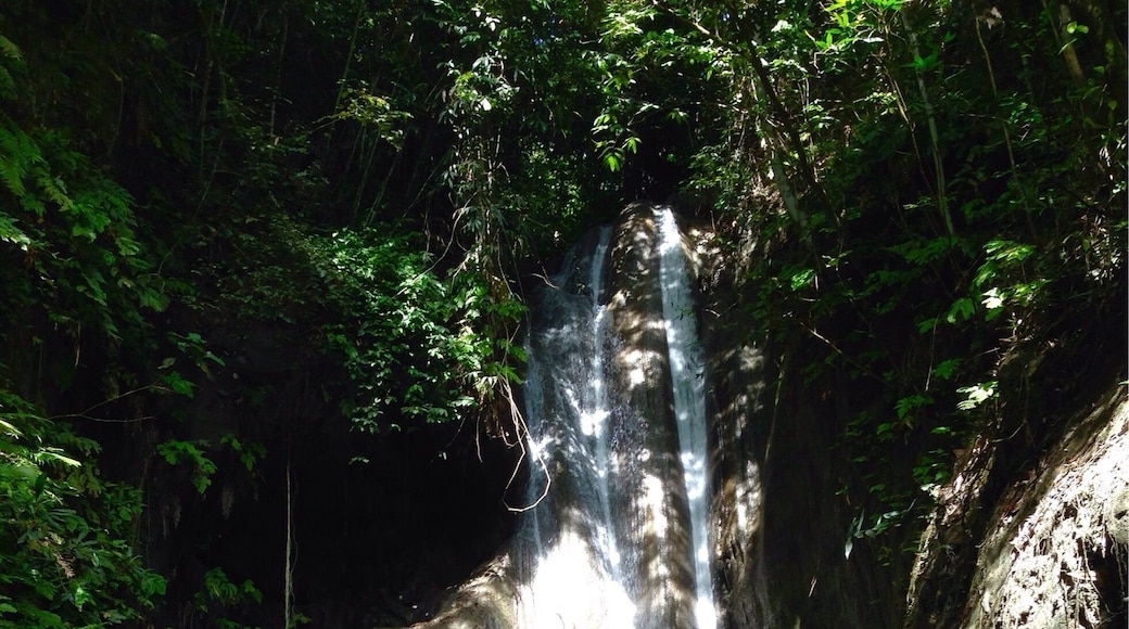 Hidden Falls in Samboan, sidetrip after whaleshark encounter in Oslob
