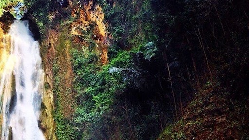 If you're tired of sands and beaches, or if you wanna try something new to refresh this summer, try to visit Mantayupan falls. This is one of the most accessible and affordable falls in Cebu. Just ride a bus from Cebu South Terminal in Cebu City going to the southwestern town of Barili, travel takes 2 hours. Drop off point:shamrock. Then hire a motorbike (habalhabal) for 30 pesos and you'll arrive in less than 20 mins. enjoy!